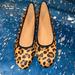 Madewell Shoes | Madewell Size 11 Leopard Print Flats | Color: Black/Tan | Size: 11