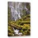 Loon Peak® 'Proxy Falls Oregon 8' by Cody York Photographic Print on Wrapped Canvas Metal in Brown/Green/White | 48 H x 32 W x 2 D in | Wayfair