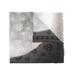 Skull Print Scarf - Gray - Alexander McQueen Scarves