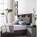Winston Porter Modern Upholstered Bed Frame w/ 4 Storage Shelves Upholstered in Brown | 43 H x 61.8 W x 85 D in | Wayfair