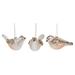 Transpac Glass 5 in. Multicolored Christmas Bird Ornament Set of 3