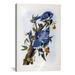 Vault W Artwork 'Blue Jay' by John James Audubon Painting Print on Canvas Canvas/Metal in Blue/Brown | 60 H x 40 W x 1.5 D in | Wayfair