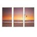 Rosecliff Heights Beach Sunset & Sea Gulls - 3 Piece Floater Frame Photograph on Canvas Metal in Brown/Orange/Red | 32 H x 48 W x 1 D in | Wayfair