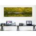 Ebern Designs Alligator flowing in a canalBig Cypress Swamp National Preserve, Tamiami, Ochopee, Florida | 24 H x 72 W x 1.5 D in | Wayfair