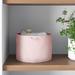 Dotted Line™ Storage Fabric Basket Fabric in Pink | 12 H x 18 W x 18 D in | Wayfair 7DBB97A8B17B49DF81FB3063BB441709