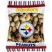 Pittsburgh Steelers Bag Dog Toy, Medium, Multi-Color