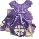 Disney Costumes | Disney Costume Dress Girls 2/3 | Color: Purple | Size: 2/3