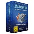 Flipper Gesamtedition - Die Komplette Originalserie (DVD)