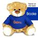 Chad & Jake Royal Florida Gators Personalized 10'' Plush Bear