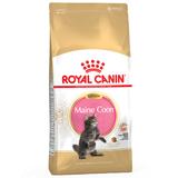10kg Kitten Maine Coon Royal Can...