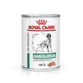 12x410g Royal Canin Veterinary Diabetic Special Low Carb Weight Management en mousse