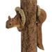 Woodland Squirrel Outdoor Garden Statue - 6" - Brown