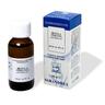 Extragem Betulla Verrucosa Semi Gocce 20 Ml