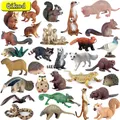 Mini Zoo Figurines Capybara écureuil souris raton laveur serpent modèle d'action en plastique