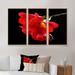 Ebern Designs Beautiful Red Watercolor Poppy - Floral Framed Canvas Wall Art Set Of 3 Canvas, Wood in Black/Red | 20 H x 36 W x 1 D in | Wayfair