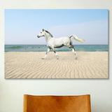 iCanvas 'White Horse on the Beach' Photograph on Wrapped Canvas in Blue/Brown/White | 1.5 D in | Wayfair 7034-1PC6-18x12