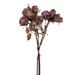 Vickerman 717172 - 16.5" Light Mauve Dried Rose Bundle (FM223216) Home Office Flower Bundles