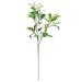 Set of 4 Artificial Willow Leaf Stem Plant Greenery Foliage Spray Branch 38in - 38" L x 15" W x 10" DP