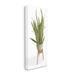 Stupell Industries Casual Aloe Plant Towering Green Leaves Planter Canvas Wall Art By Cindy Jacobs Canvas in Brown/Green | Wayfair an-435_cn_10x24