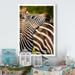 Ebern Designs African Zebra Photo Portrait - Graphic Art on Canvas in Black/Gray/Red | 20 H x 12 W x 1 D in | Wayfair