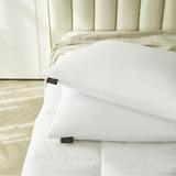 Farm To Home Organic Blended Cotton Softy Around Feather And Down Pillow (Set of 2) - White