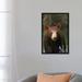 East Urban Home Black Bear Portrait, North America I by Tim Fitzharris - Unframed Gallery-Wrapped Canvas Giclee Print, in Black/Green | Wayfair