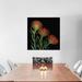 Latitude Run® A Sugar Rush of Leucospermum Photographic Print on Wrapped Canvas Canvas, Cotton in Green/Red | 18 H x 18 W x 1.5 D in | Wayfair