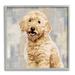 Stupell Industries Smiling Labradoodle Dog Patchwork Grey Beige Pattern Wood in Brown | 17 H x 17 W x 1.5 D in | Wayfair ac-155_gff_17x17