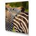 Ebern Designs African Zebra Photo Portrait - Graphic Art on Canvas in White | 36 H x 24 W x 1 D in | Wayfair 42B1608211C744889131DFDCB8B30030