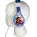 Disney Headphones | Disney Frozen Corded Headphones | Color: Blue/White | Size: Os