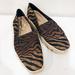 Anthropologie Shoes | Bernardo Tiger Canvas Slip Ons Platform Sneakers | Color: Black/Orange | Size: 8