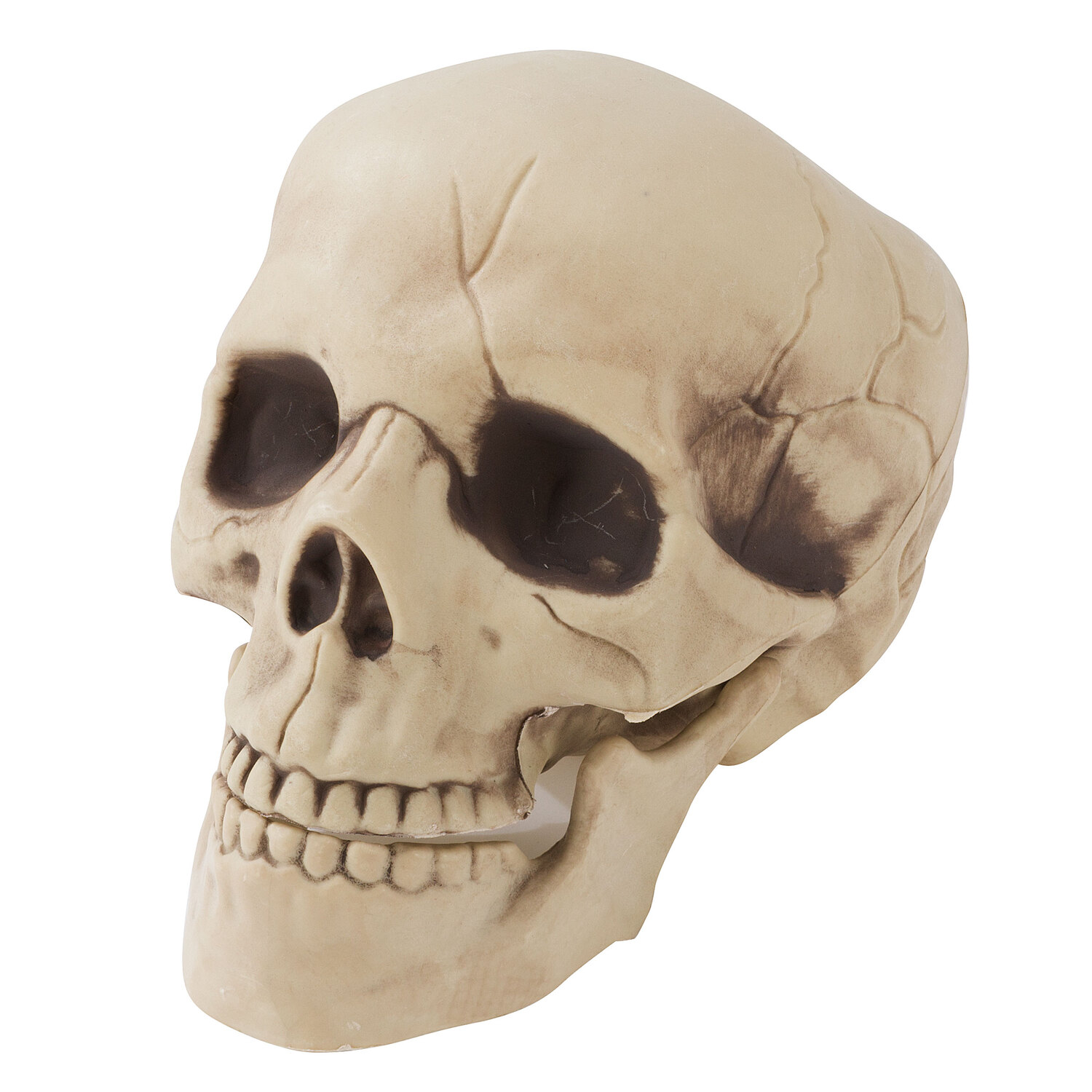 Tête de mort, beige, 21 cm