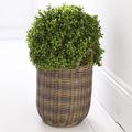 Bloom Artificial Large Boxwood Ball Topiary Plant – 50cm Fake Green Foliage, Faux Silk Flowers That Look Real, Perfect for Mothers Day, Home Decor, Nursery Pot Included