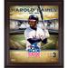 Harold Baines Chicago White Sox Framed 15" x 17" Hall of Fame Career Profile