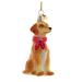 Kurt Adler Retriever Hanging Figurine Ornament Glass in Brown/Red | 3.5 H x 2 W x 2 D in | Wayfair NB0900YLB