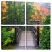 Latitude Run® Wood Bridge At Japanese Garden In Fall - Pier & Bridge Canvas Wall Art Print 4 Piece Set Canvas in Green | Wayfair