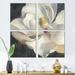Red Barrel Studio® Vivid White Magnolia IV - Shabby Elegance Canvas Wall Art Print 4 Piece Set in Black/White/Yellow | 32 H x 32 W x 1 D in | Wayfair