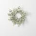 The Holiday Aisle® Artificial Frosted Cedar Wreath Traditional Faux in Green | 16 H x 16 W x 2 D in | Wayfair E05A90008B1447C2986BC0238436FC8F