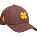 Men's Brown Wyoming Cowboys Spirit Flex Hat