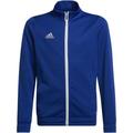 ADIDAS Kinder Jacke Entrada 22, Größe 140 in Blau