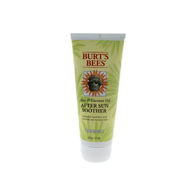 Plus Size Women's Aloe & Coconut Oil After Sun Soother -6 Oz Oil by Burts Bees in O