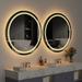 Large LED Bathroom Mirror Round Dual Light Frameless Vanity Anti-Fog