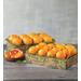 Navel Oranges And Grapefruit - Two Trays, Fresh Fruit, Gifts by Harry & David