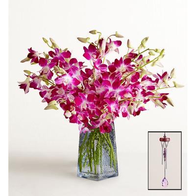 1-800-Flowers Flower Delivery Exotic Breeze Orchids 20 Stems W/ Blue Vase & Windchime | Put A Smile On Their Face