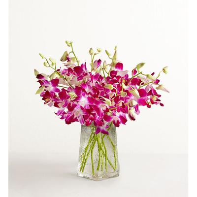 1-800-Flowers Flower Delivery Exotic Breeze Orchids 10 Stems W/ Clear Vase | Happiness Delivered To Their Door