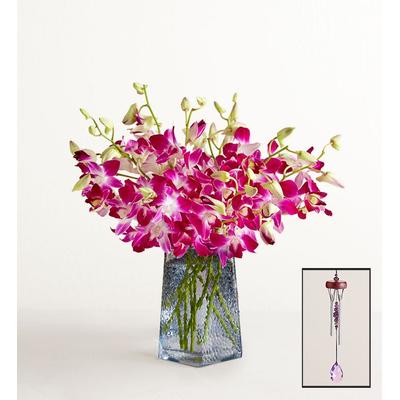 1-800-Flowers Flower Delivery Exotic Breeze Orchids 10 Stems W/ Blue Vase & Windchime | Send The Gift Of Flowers