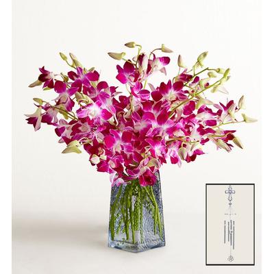 1-800-Flowers Flower Delivery Sympathy Orchids 20 Stems W/ Blue Vase & Windchime | Happiness Delivered To Their Door