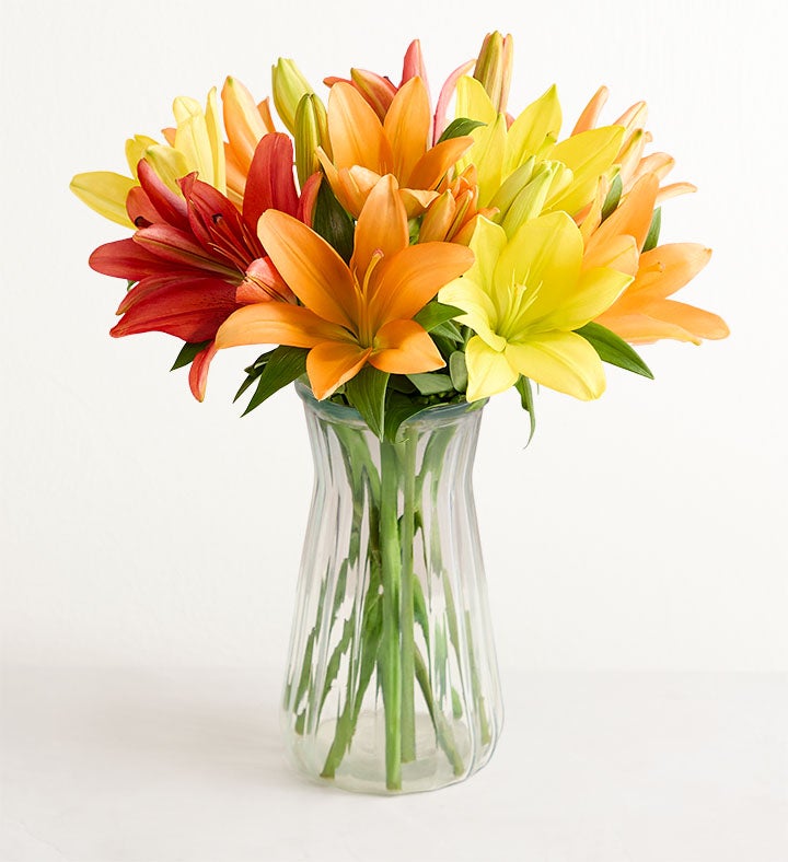 1-800-Flowers Seasonal Gift Delivery November Sun Lily Single Bouquet W/ Clear Vase