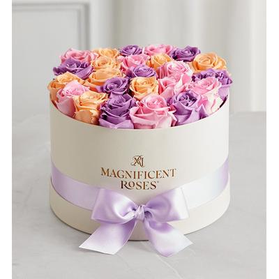 1-800-Flowers Flower Delivery Magnificent Roses Preserved Sorbet Roses Magnificent Roses Two Dozen Sorbet