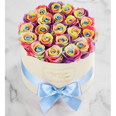 1-800-Flowers Flower Delivery Magnificent Roses Preserved Rainbow Roses